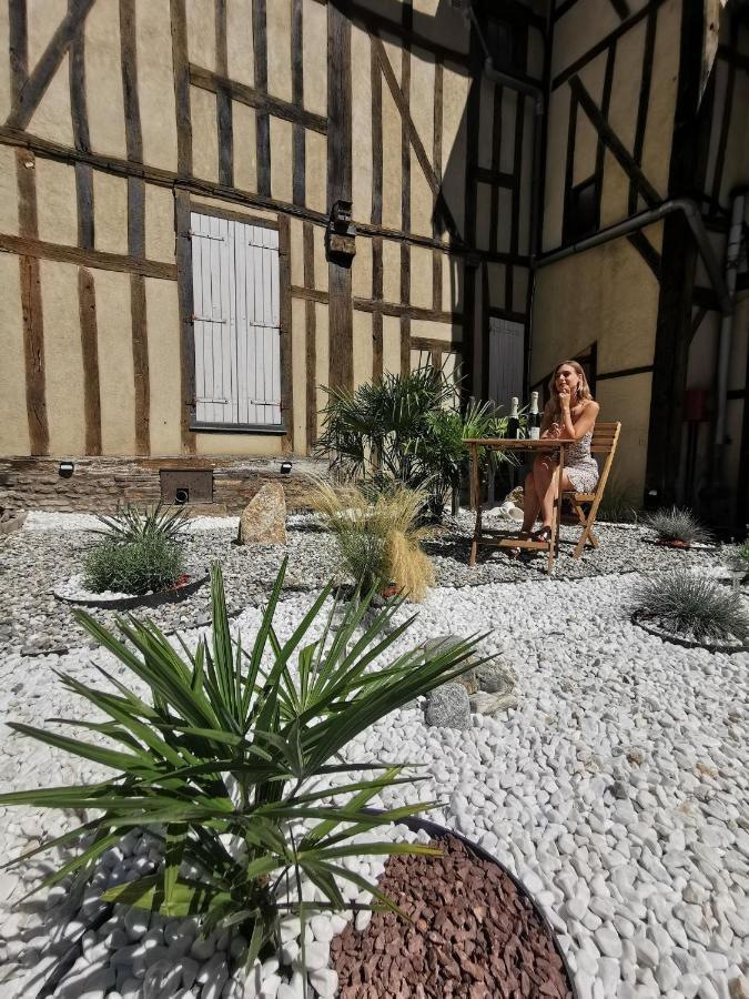 Les Cieux De La Cathedrale - Calme - Jardin - Wifi Apartamento Troyes Exterior foto